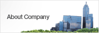 About Company